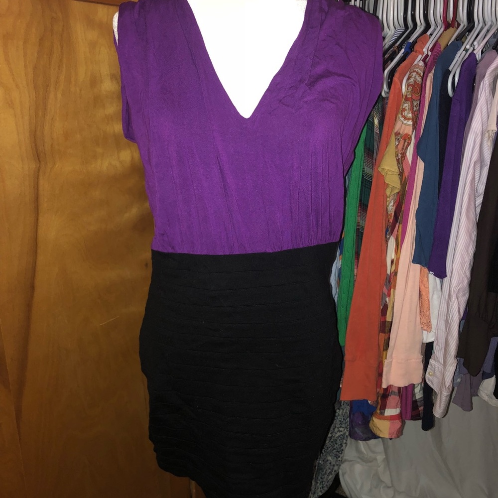 Express Two Toned Dress